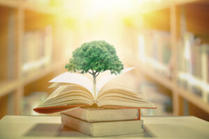 education concept with tree of knowledge planting on opening old